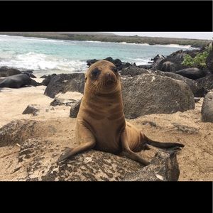 Meet your Posher, Sarah